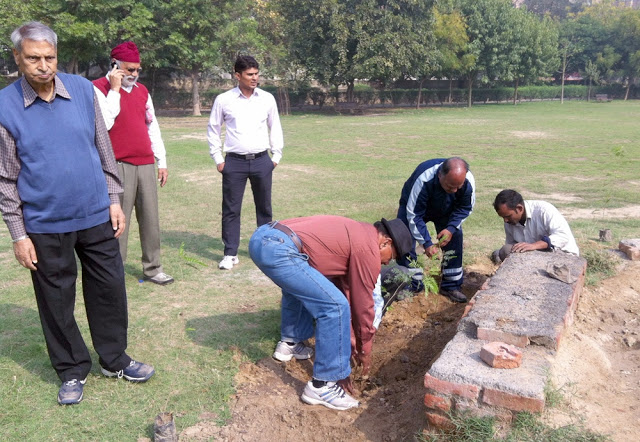 SDKS Carries Out Tree Plantation Programs In Dwarka Dwarka Parichay